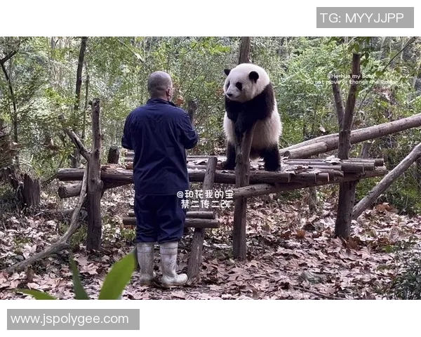 熊猫体育合作伙伴携手共创未来助力体育事业发展与创新