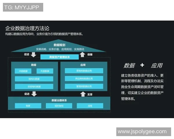 探索巅峰国际数字转型案例的成功经验与未来发展趋势分析