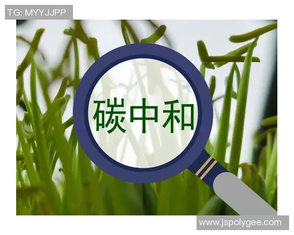 全球环保压力推动减少转播行业碳足迹的可持续发展路径探讨